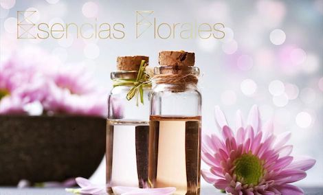 Natural Therapy Flower essences